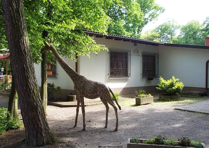 Waldgaststatte Zum Vogelpark