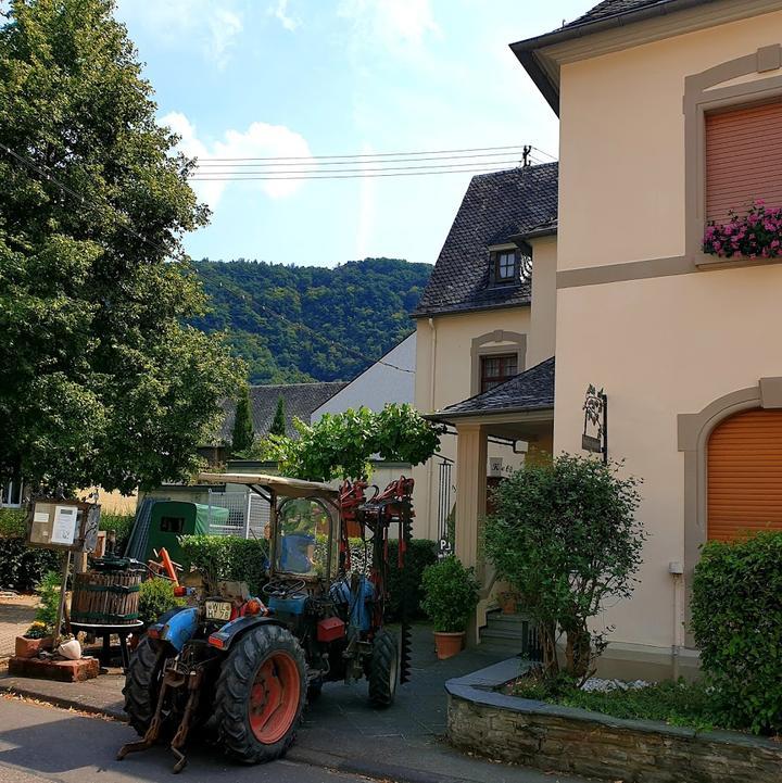 Weingut Thielen-Feilen